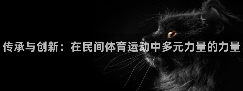 MK体育官方正版app集团官网网址:传承与创新:在民间体育运