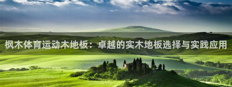 MK体育官方正版app集团官网首页网址:枫木体育运动木地板: