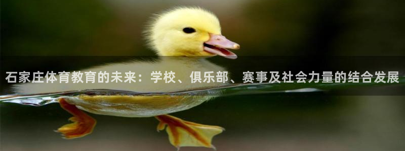 MK体育官网下载开户:石家庄体育教育的未来:学校、俱乐部、赛